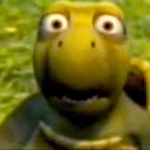 Meet your Posher, Posh